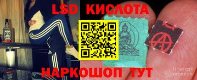 индика Гай
