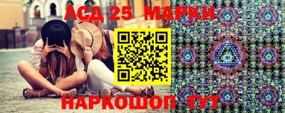 индика Гай