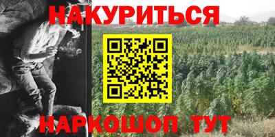 индика Гай