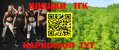 индика Гай