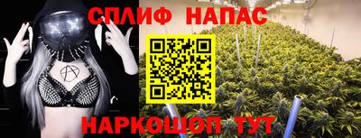 ешки Гагарин
