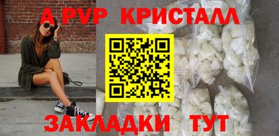 индика Гай