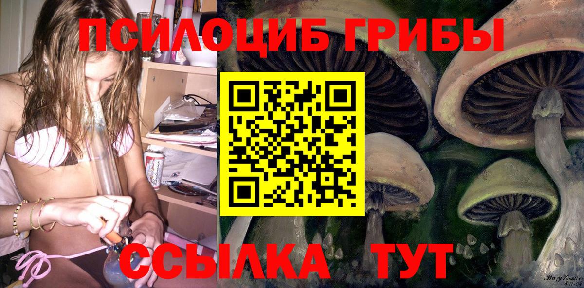 Галлюциногенные грибы Cubensis  наркошоп  Вход с VPN  Нижневартовск  Галлюциногенные грибы Magic Shrooms 
